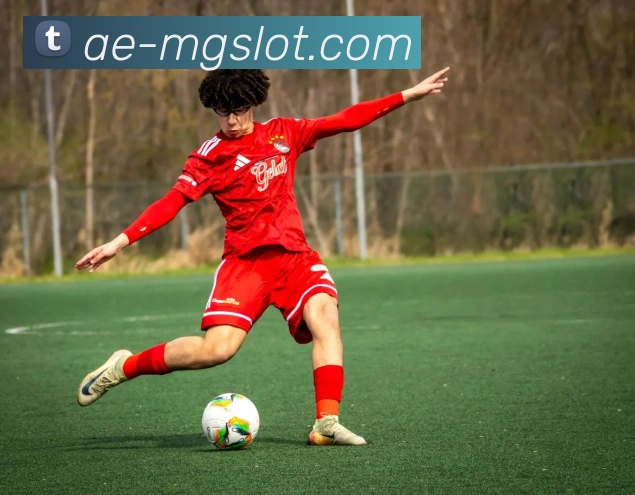 App Interface Preview