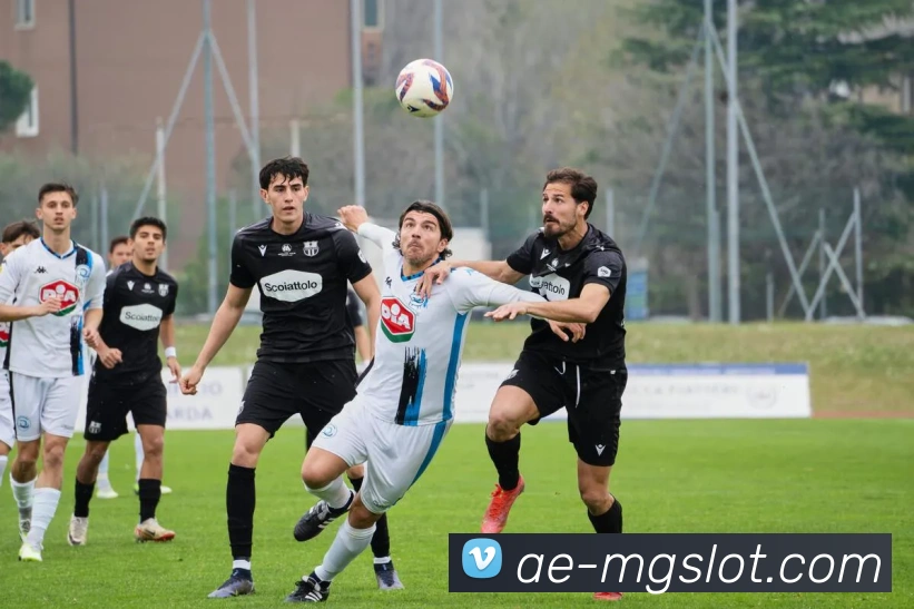 MG电子游戏官网APP 封面图